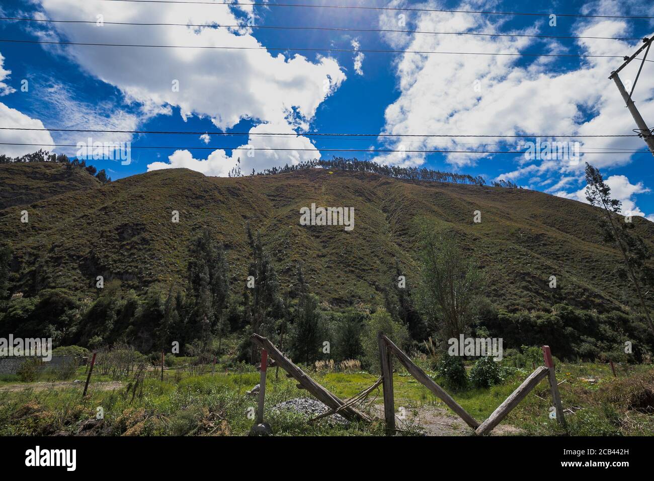 Mountain forest under blue sky and white clouds Stock Photo - Alamy