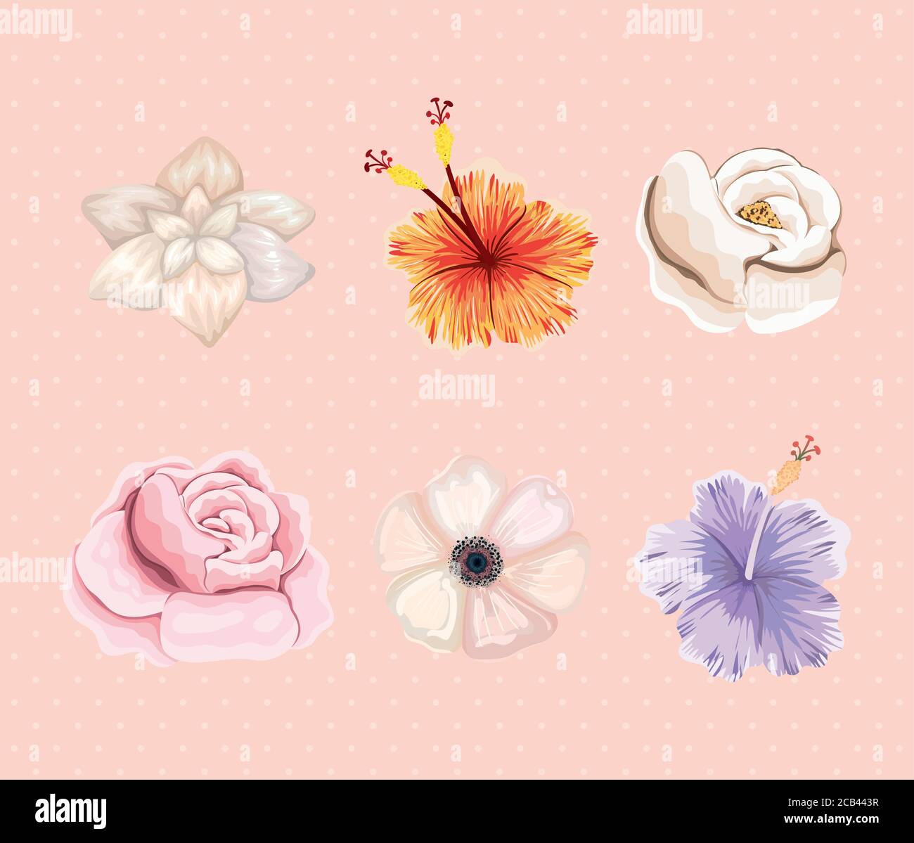 set of flowers painting design, natural floral nature plant ornament garden decoration and botany theme Vector illustration Stock Vector