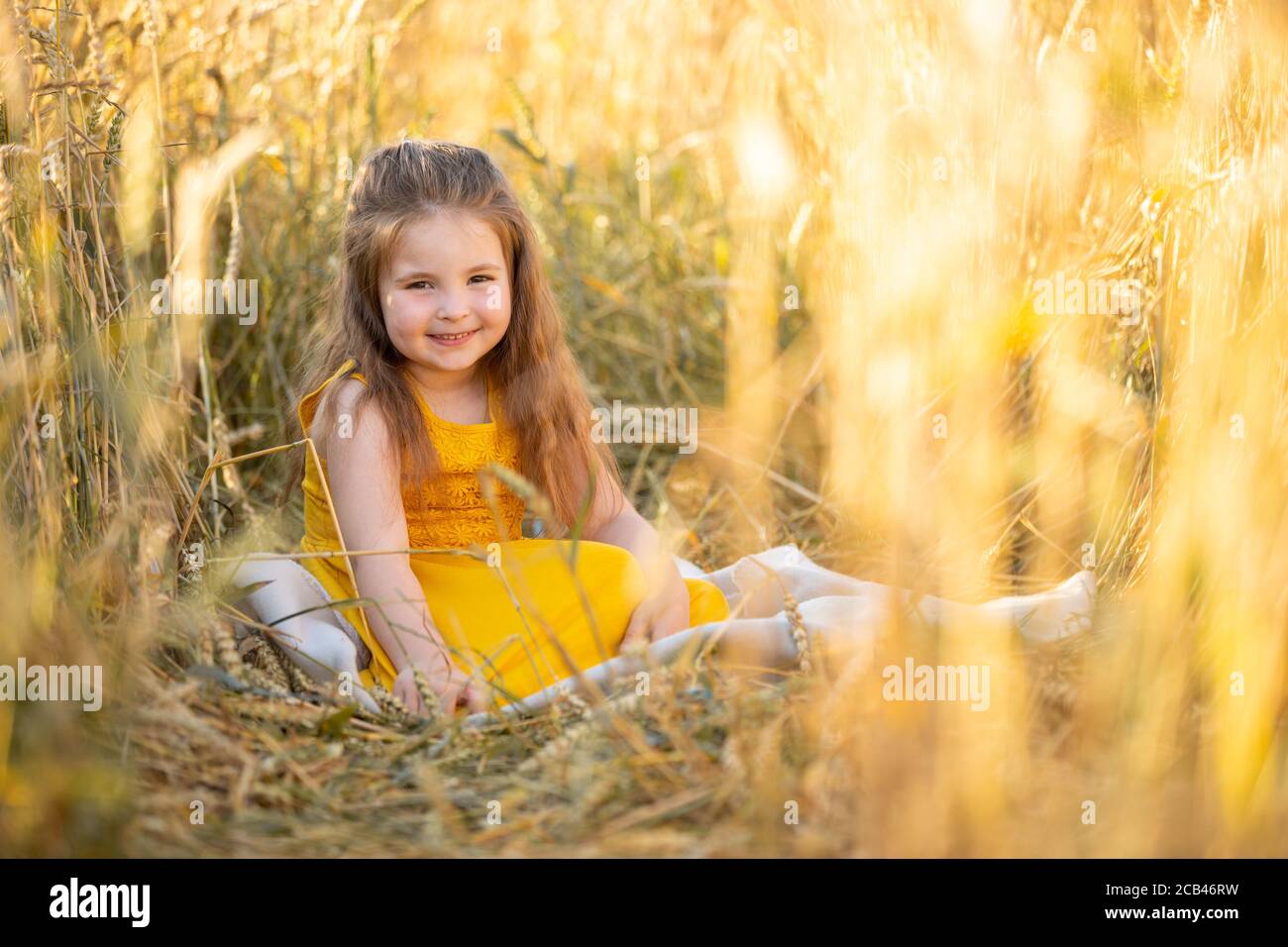 Happy cute little girl in the wheat field on a warm summer day Stock ...