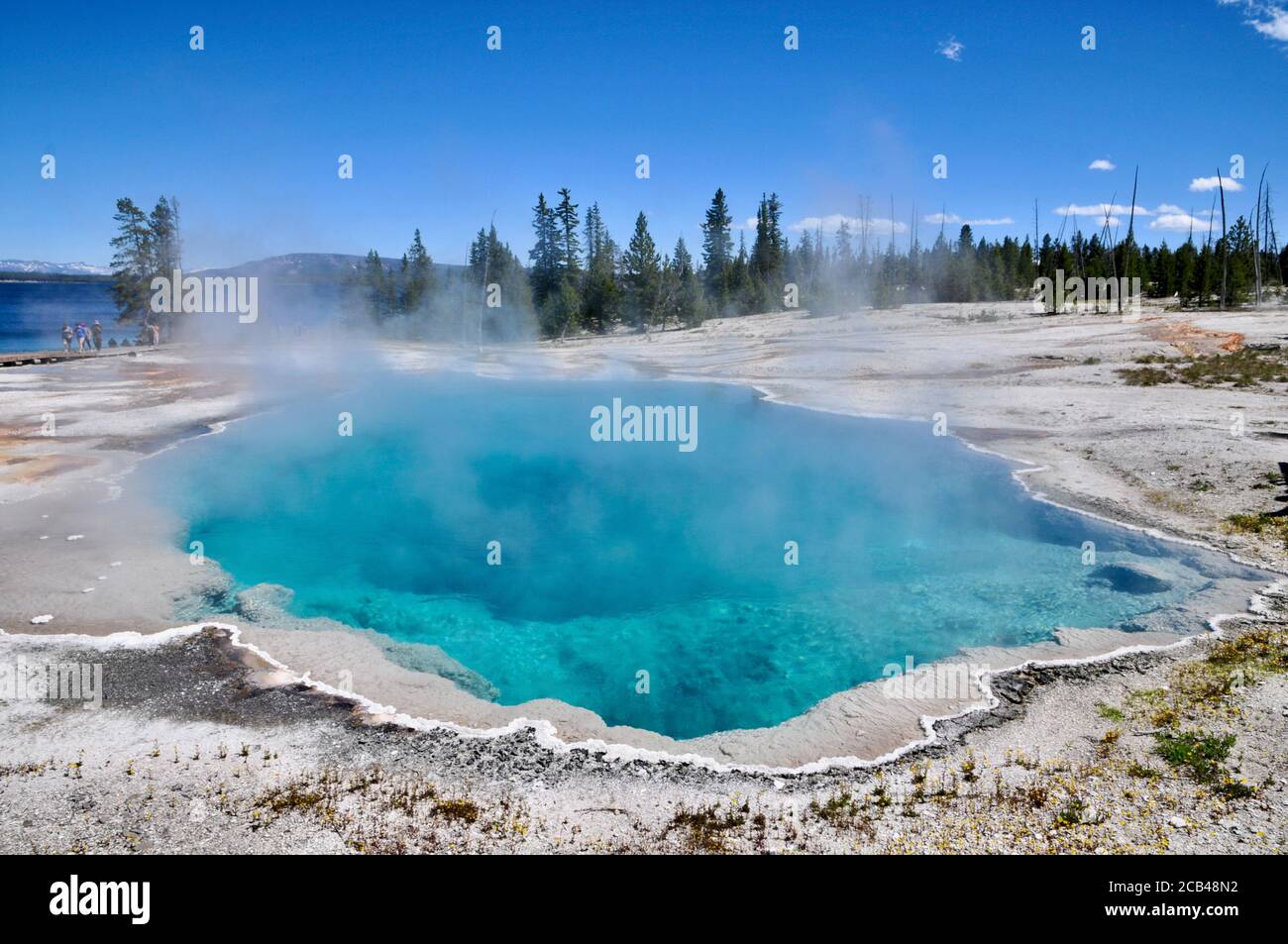 Bubbling Geyser in Yellowstone National Park Stock Photo