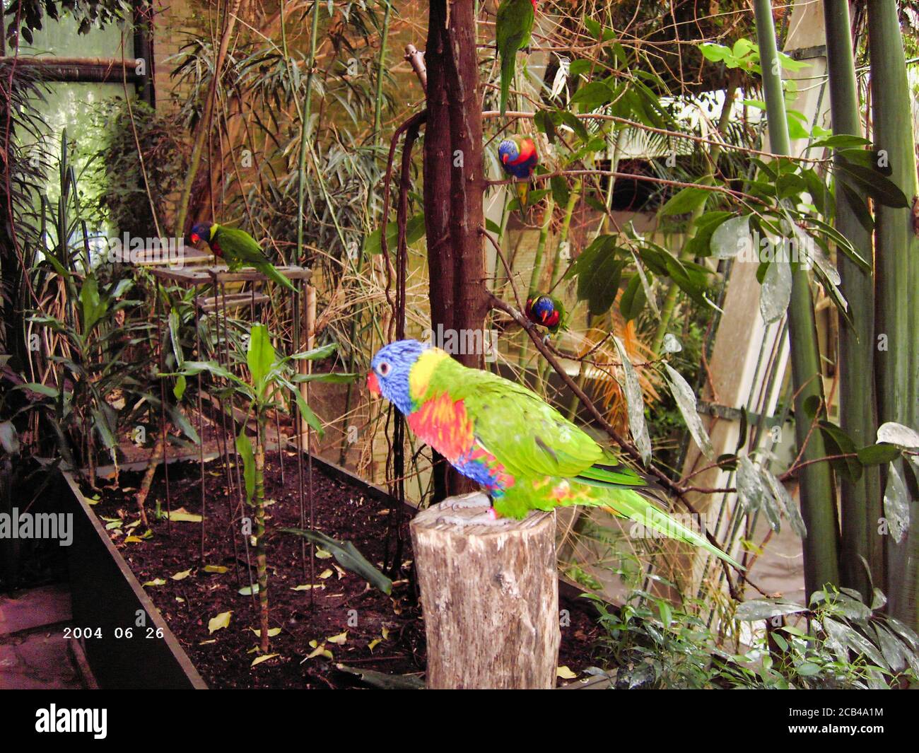 Tropical bird view hi-res stock photography and images - Alamy