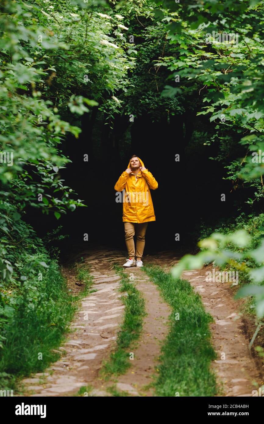 traveler man in yellow raincoat hiking by rainy forest Stock Photo - Alamy
