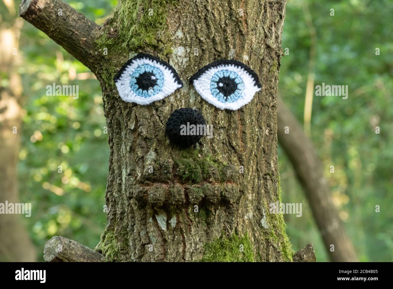 Funny face on a tree trunk made with crochet eyes and nose during the coronavirus covid-19 lockdown Stock Photo