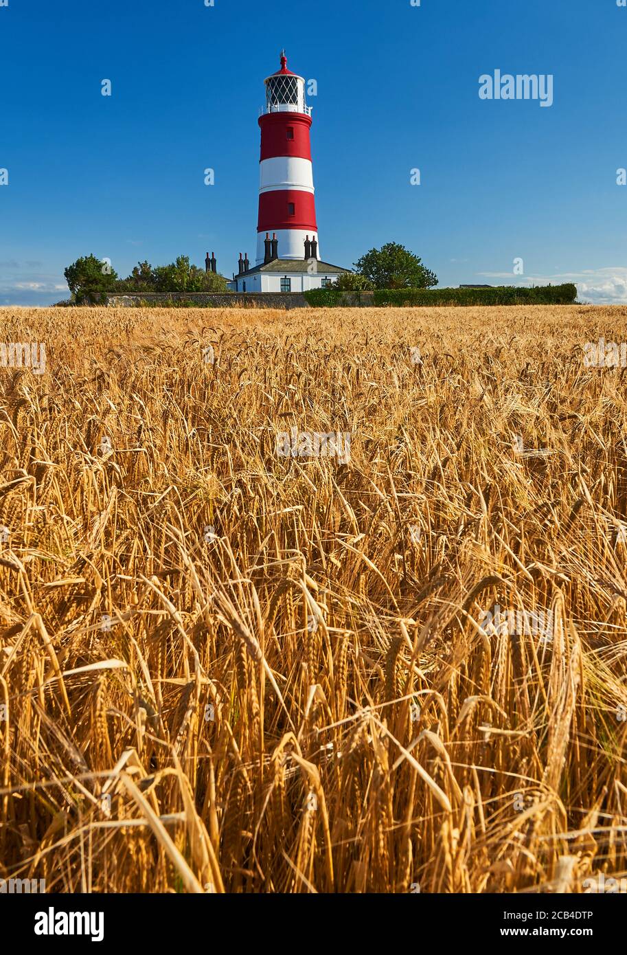 Happisburgh lighthouse Norfolk, iconic red and white striped building against a clear blue summer sky. Stock Photo