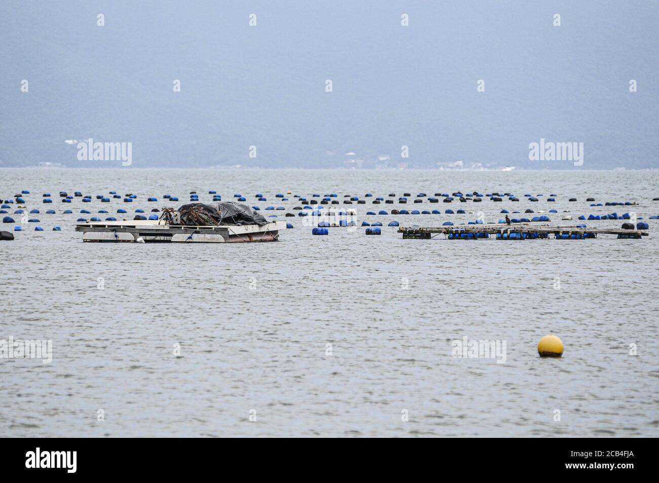 Cultivo de ostras hi-res stock photography and images - Alamy