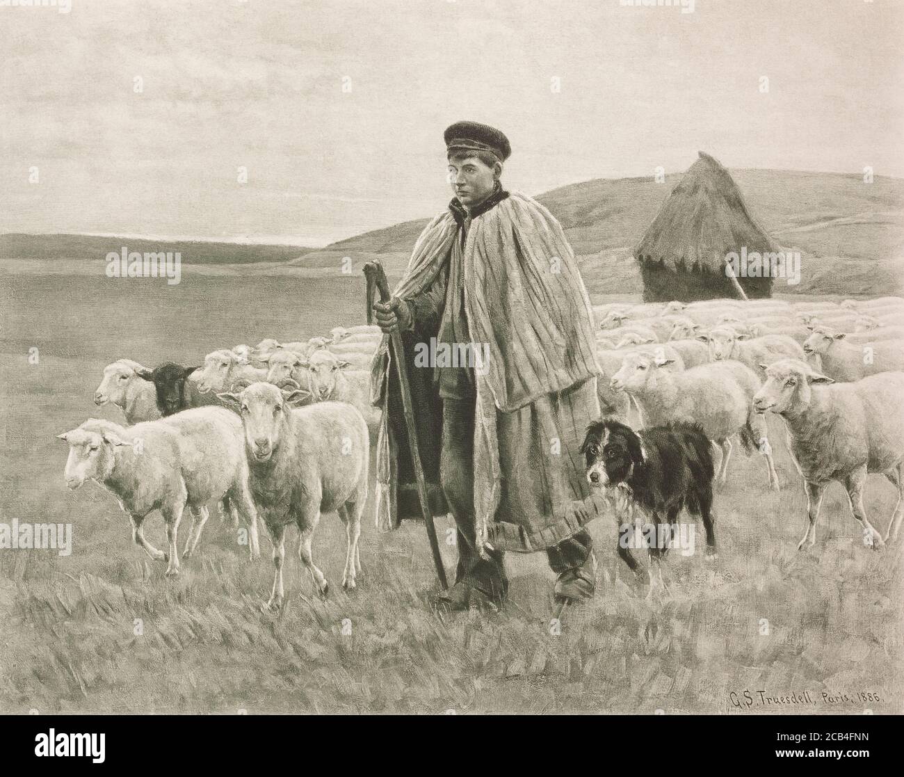 1890 photogravure of an 1886 G. S. Truesdell painting with the caption, Shepherd and Flock Stock Photo