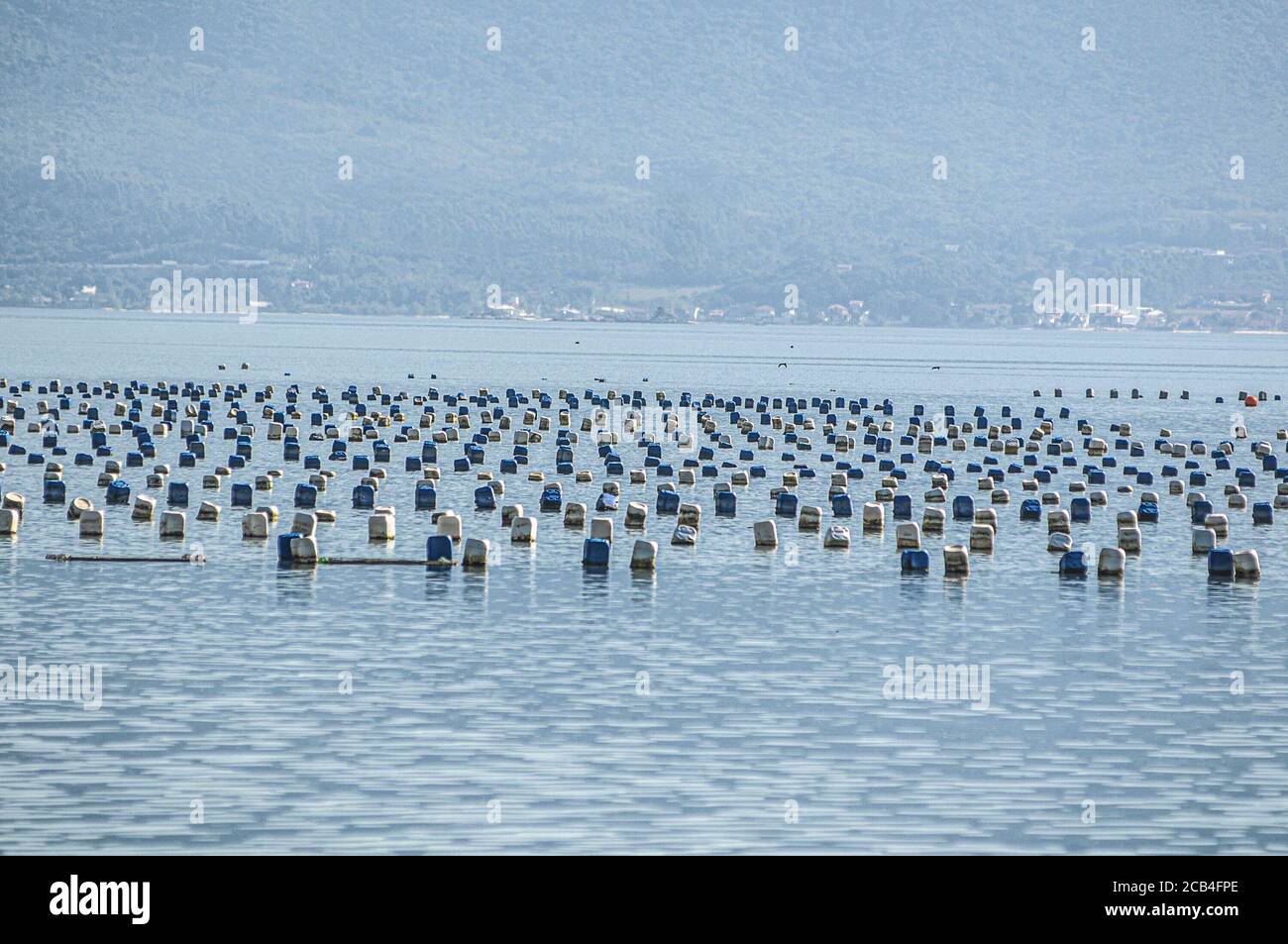 Pesca de moluscos hi-res stock photography and images - Alamy