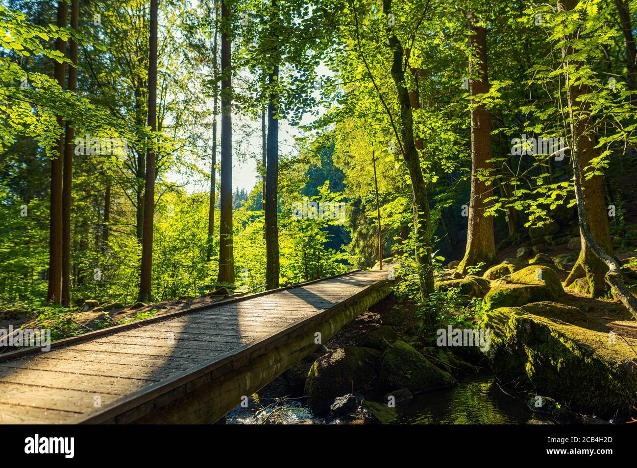 Wooden pedestrian bridge over small river in amazing beautiful forest on sunny summer day Stock Photo