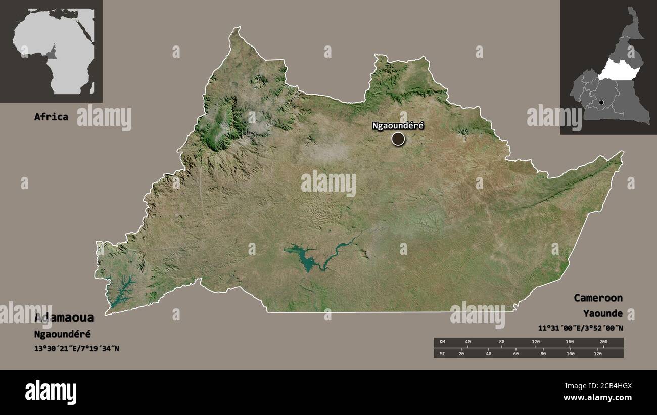 Shape Of Adamaoua Region Of Cameroon And Its Capital Distance Scale Shape Of Adamaoua Region Of Cameroon And Its Capital Distance Scale Previews And Labels Satellite Imagery 3d Rendering 2CB4HGX