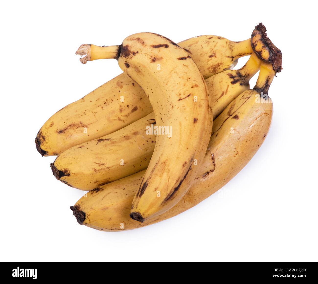 My Image 26