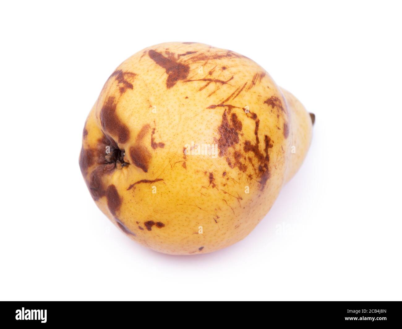 Dented Pears One defective pear isolated on white background Stock Photo - Alamy
