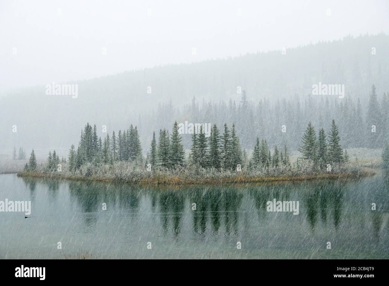 Cascade Pond with falling snow in late summer, Banff National Park