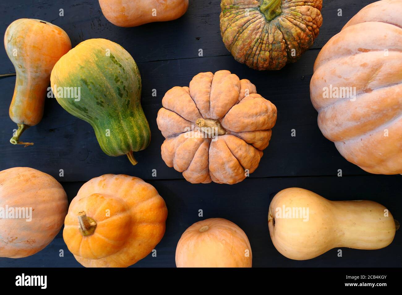 Cucurbita moschata winter squashes and pumpkins varieties on black wooden boards background Stock Photo