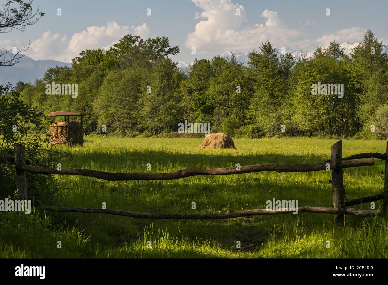 Green farmland behind the wooden fence Stock Photo - Alamy