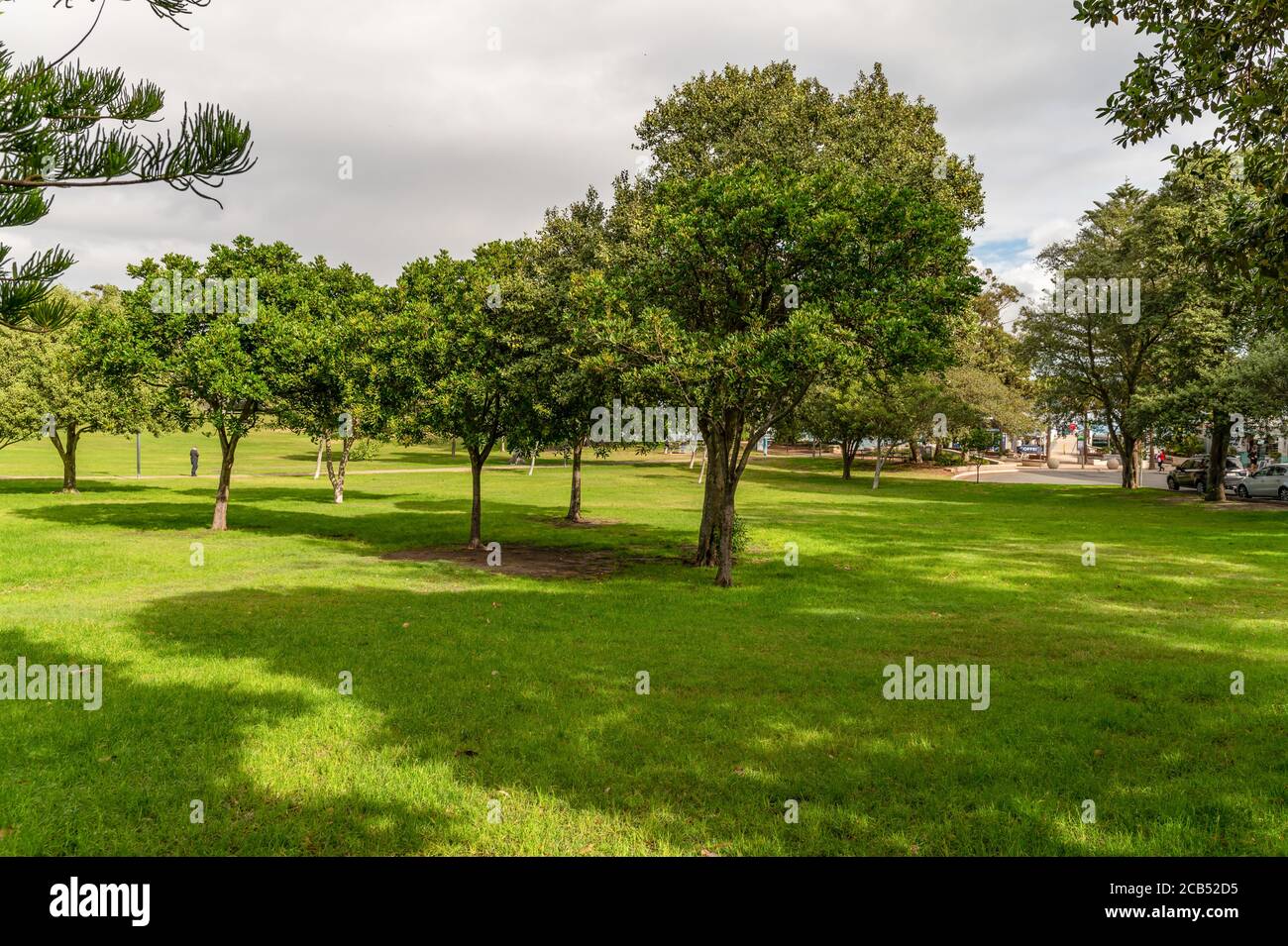 Big grass area at Robertson Park in Watsons Bay on a Cloudy Autumn Afternoon Stock Photo