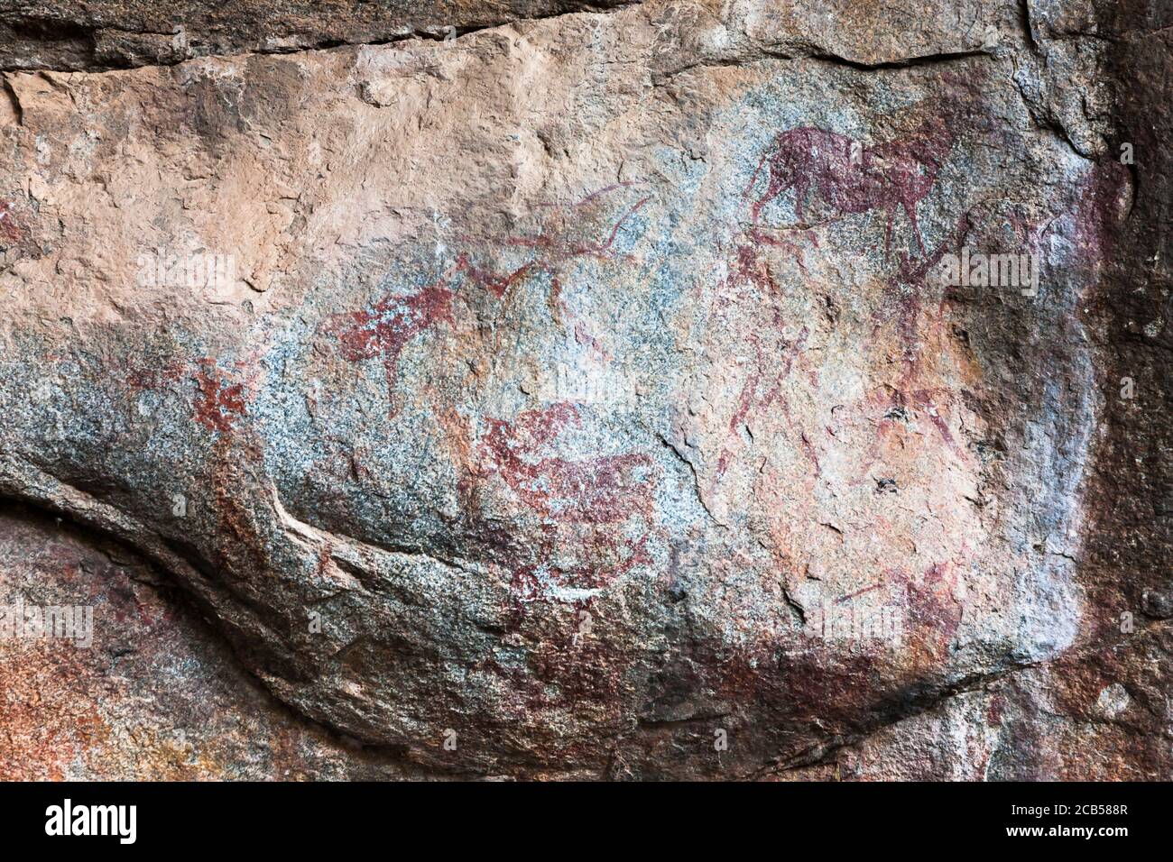 Matobo hills, 'Pomongwe cave' rock painting site, rock art, Matobo National Park, suburbs of Bulawayo, Matabeleland South, Zimbabwe, Africa Stock Photo
