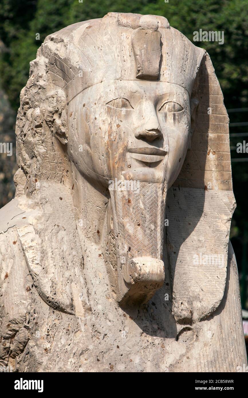 The head of the alabaster sphinx of Amun-Ofis 2nd at the ancient ...