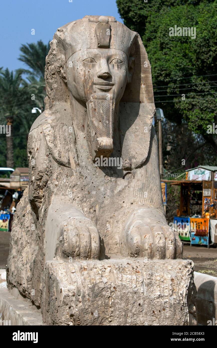 The alabaster sphinx of Amun-Ofis 2nd at the ancient Egyptian capital ...