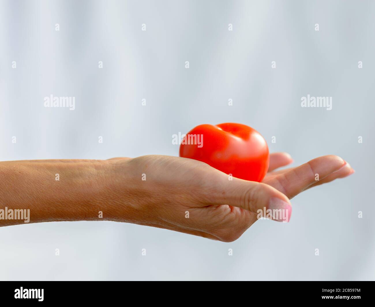 Hand of mature woman holding tomato against white linen Stock Photo - Alamy
