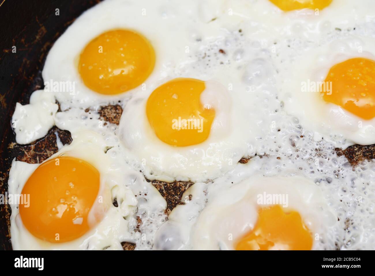 Fried eggs in a pan Stock Photo