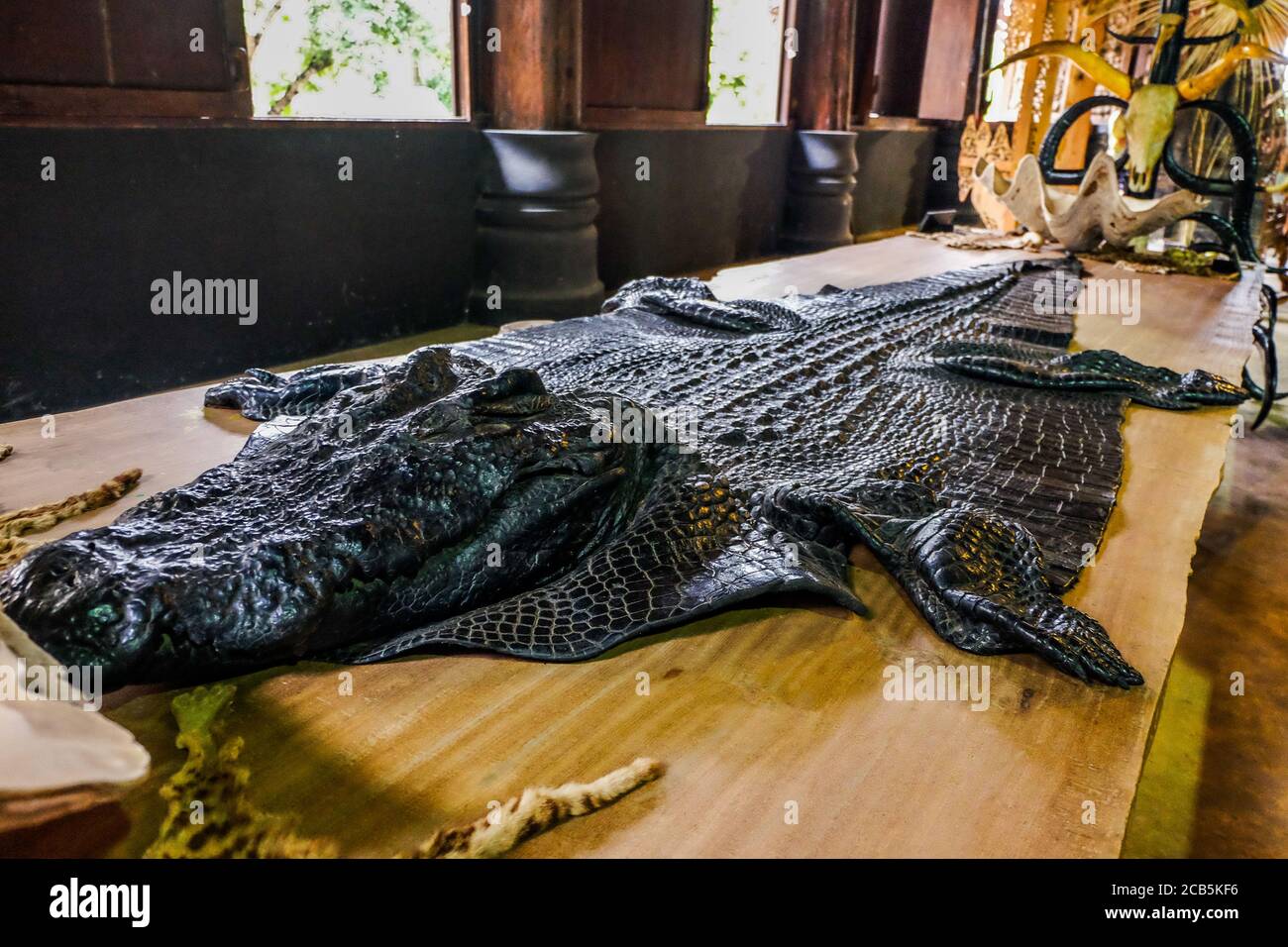Crocodile Skin Purse in Phuket 