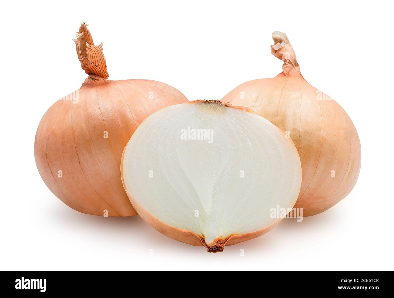 Half organic fresh raw onion on white isolated background with clipping path. Onion have acrid and sweet taste for ingredient and seasoning for cookin Stock Photo