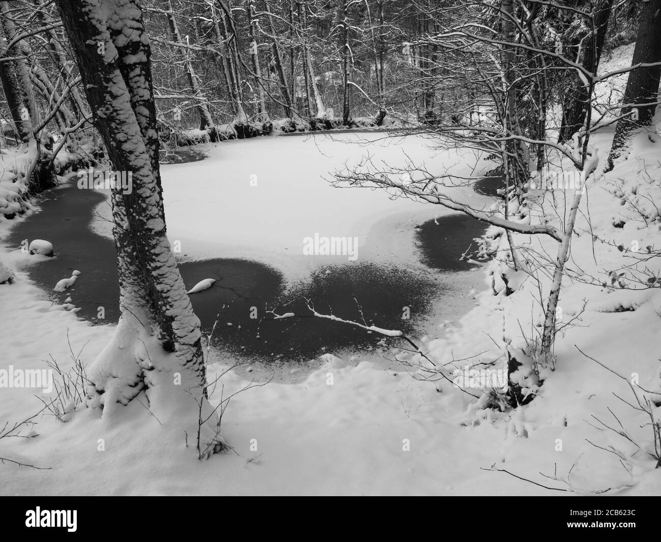 Brook pond Black and White Stock Photos & Images - Alamy