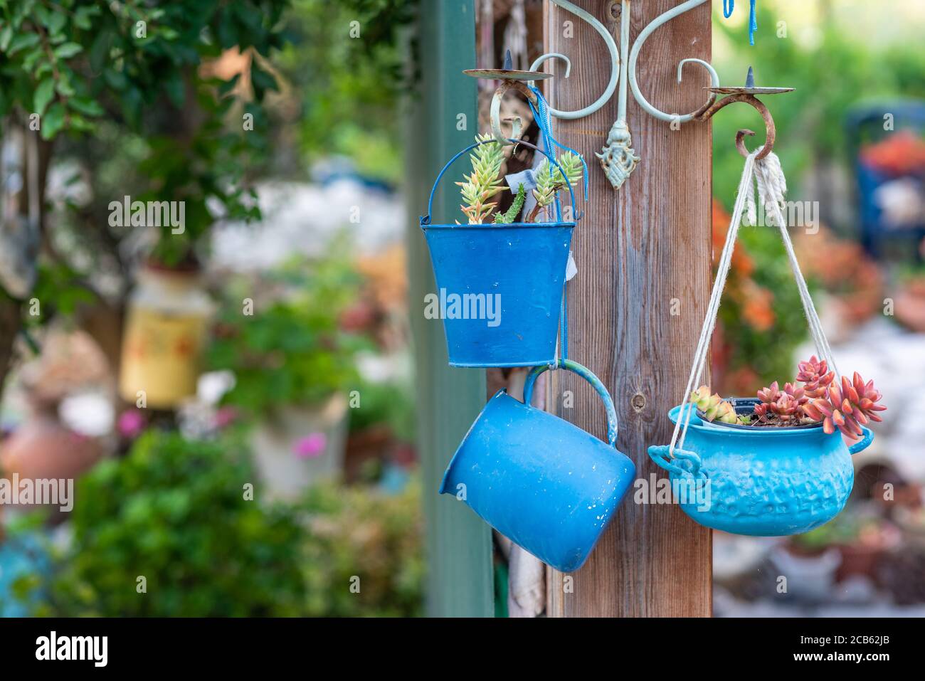 Secondhand blue saucepans, small bucket and old jug turn into garden