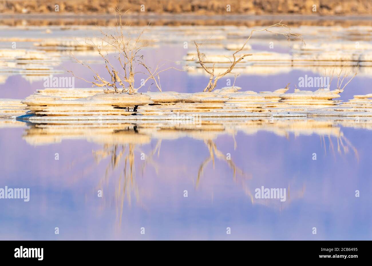 Israel, Dead Sea, salt crystalization caused by water evaporation Stock Photo