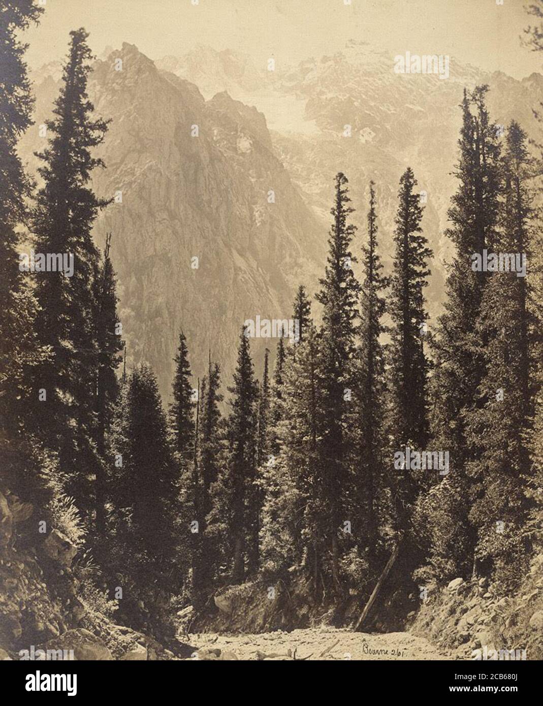 Wanga Valley, Himalaya 1863 by Samuel bourne Stock Photo