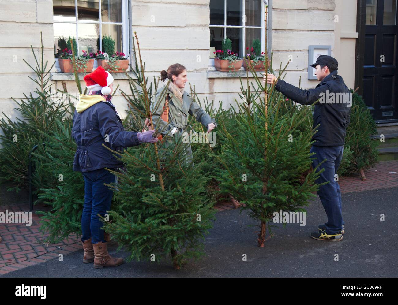 A couple choose from Christmas trees at a Cotswold famers market Stock Photo