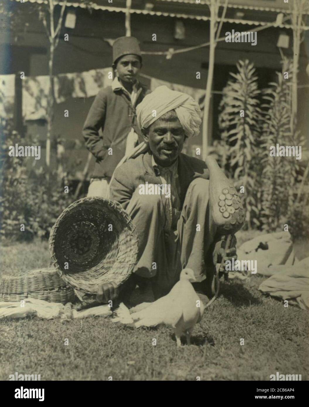 Indian Snake And White Background High Resolution Stock Photography and ...