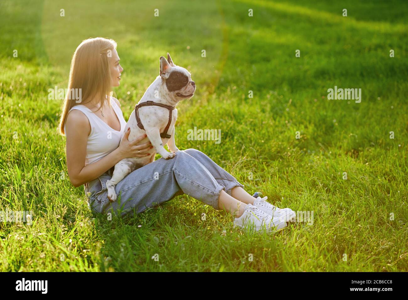 Top view of young woman sitting on grass with lovely french bulldog on knees. Gorgeous smiling girl enjoying summer sunset, holding dog and looking aside in city park. Human and animal friendship. Stock Photo