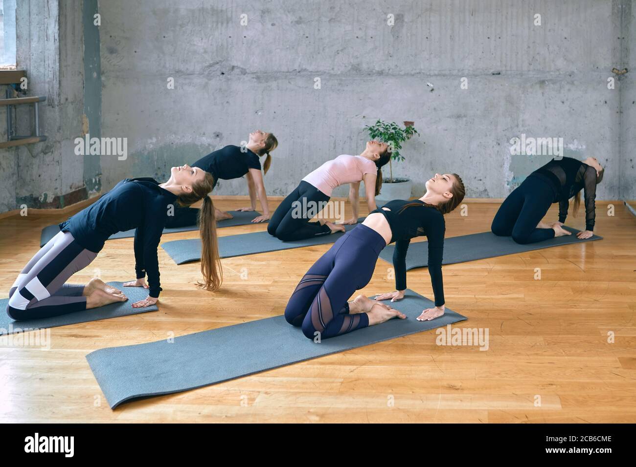 Side view of group of young fitnesswomen in sportswear practicing yoga pose, standing on knees and touching floor behind, working in studio, loft interior. Concept of healthy lifestyle, yoga. Stock Photo