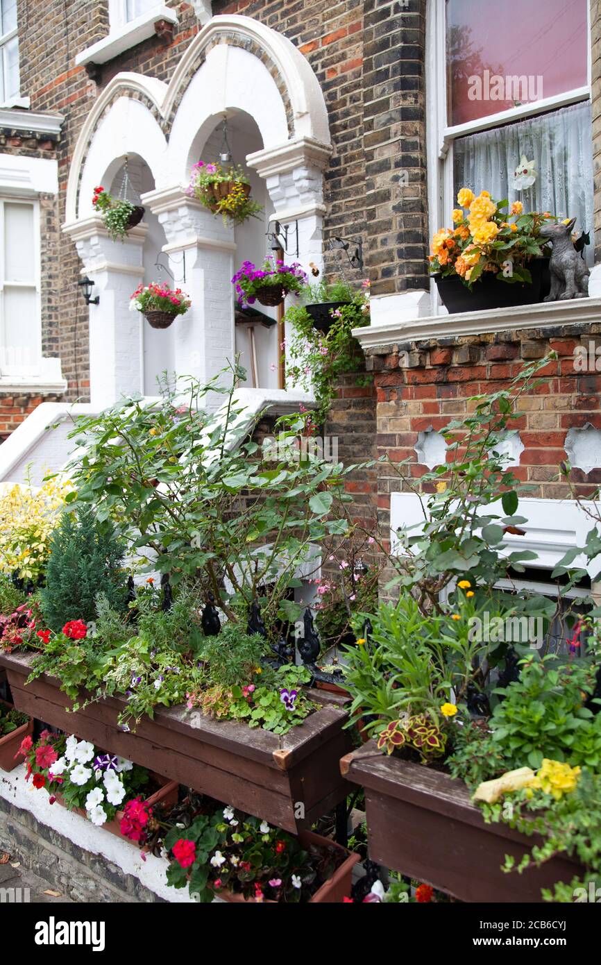 Home Exterior in Battersea with pot plants and flowers, London UK Stock Photo