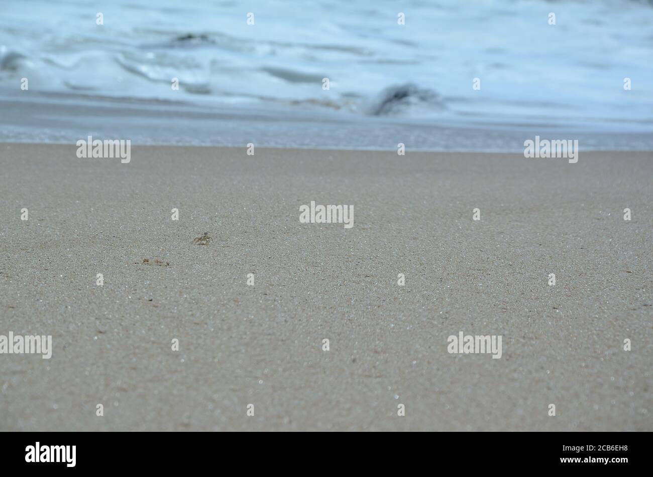 Beautiful scenery of a sandy beach with splashing sea waves Stock Photo ...