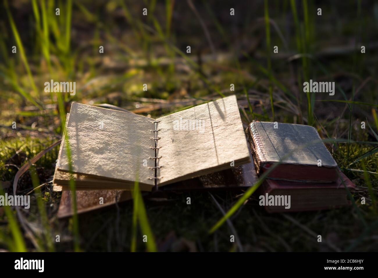 Vintage book with blank pages. Stock Photo