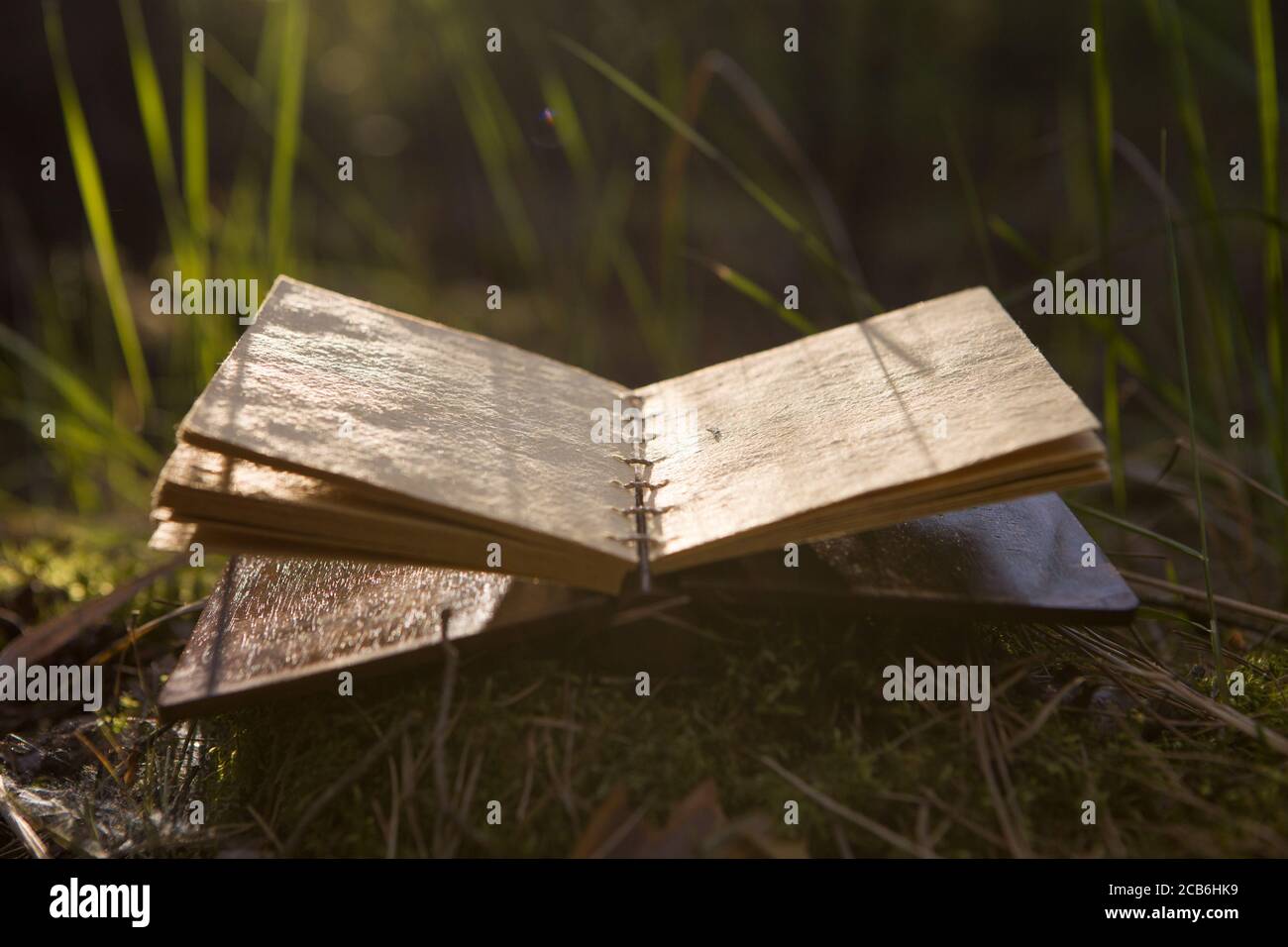 Old book with open blank pages. Stock Photo