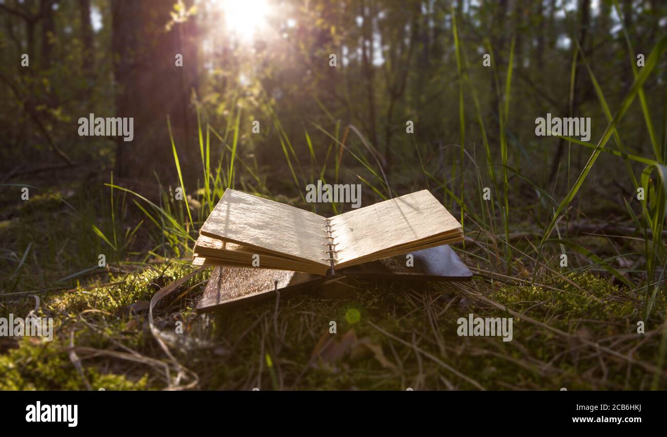 Old book with open blank pages. Stock Photo
