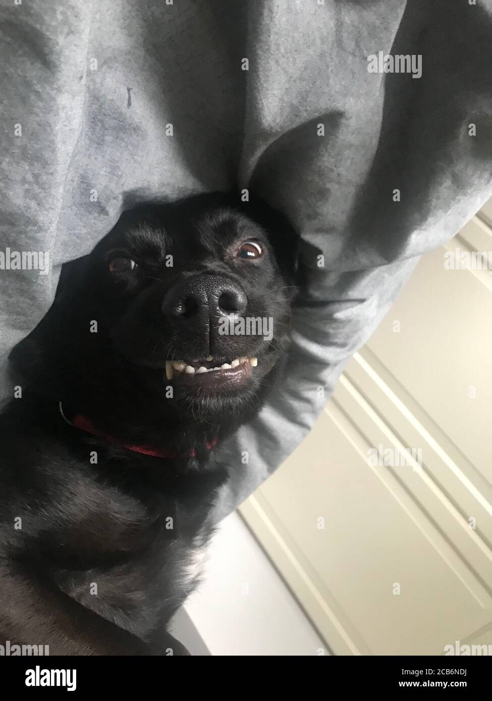 Laying cross hires stock photography and images Alamy