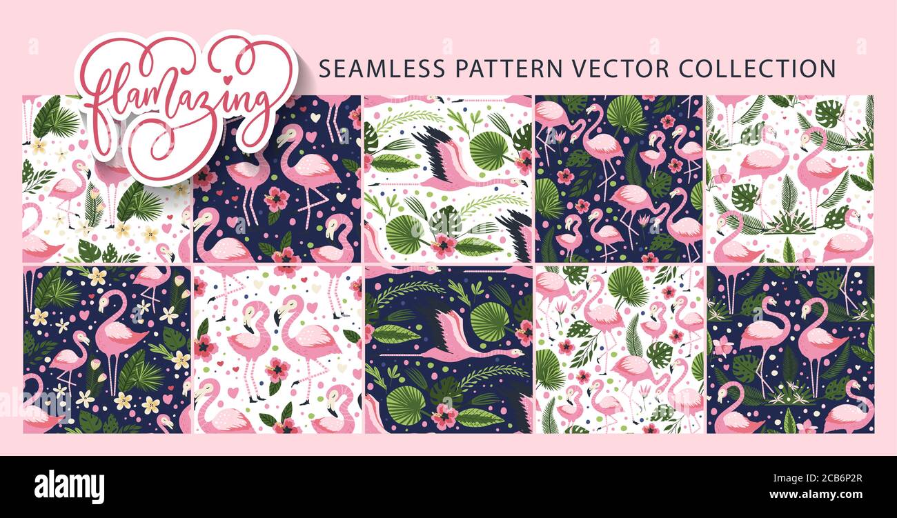 Flamingo bird seamless pattern vector set. Tropical summer background ...