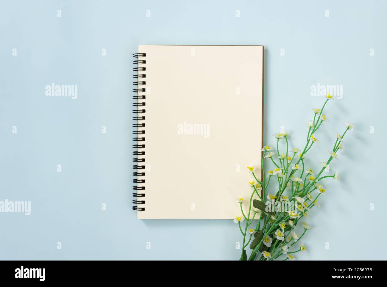 Spiral Notebook or Spring Notebook in Unlined Type and White Daisy Flowers at Bottom Right on Blue Pastel Minimalist Background Stock Photo