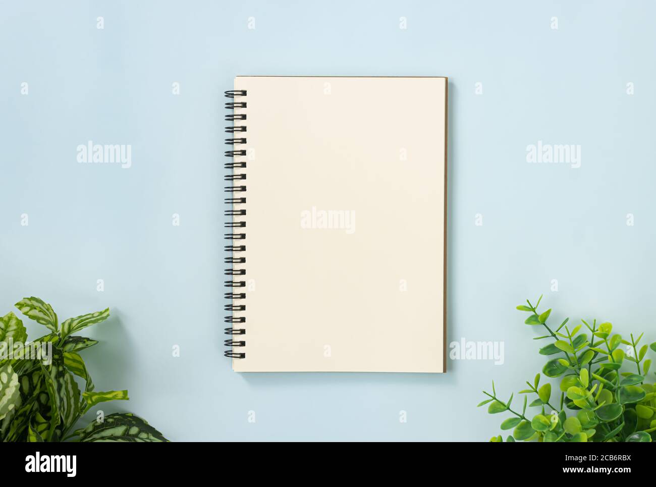 Spiral Notebook or Spring Notebook in Unlined Type and Office Plants at Bottom on Blue Pastel