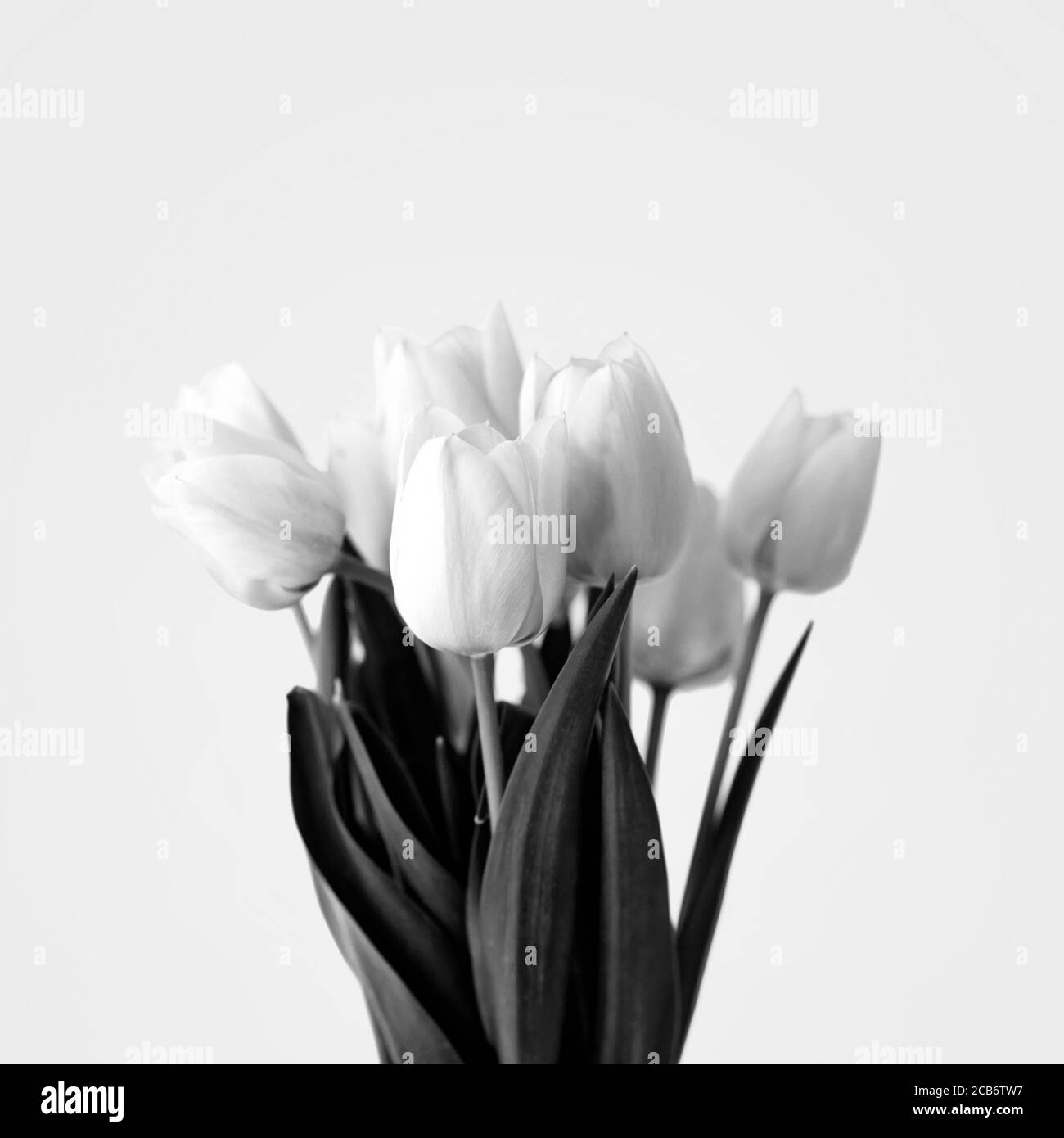Color image bouquet Black and White Stock Photos & Images - Alamy
