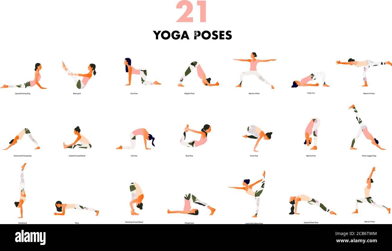 Yoga Poses: A Guide to Understanding and Practicing