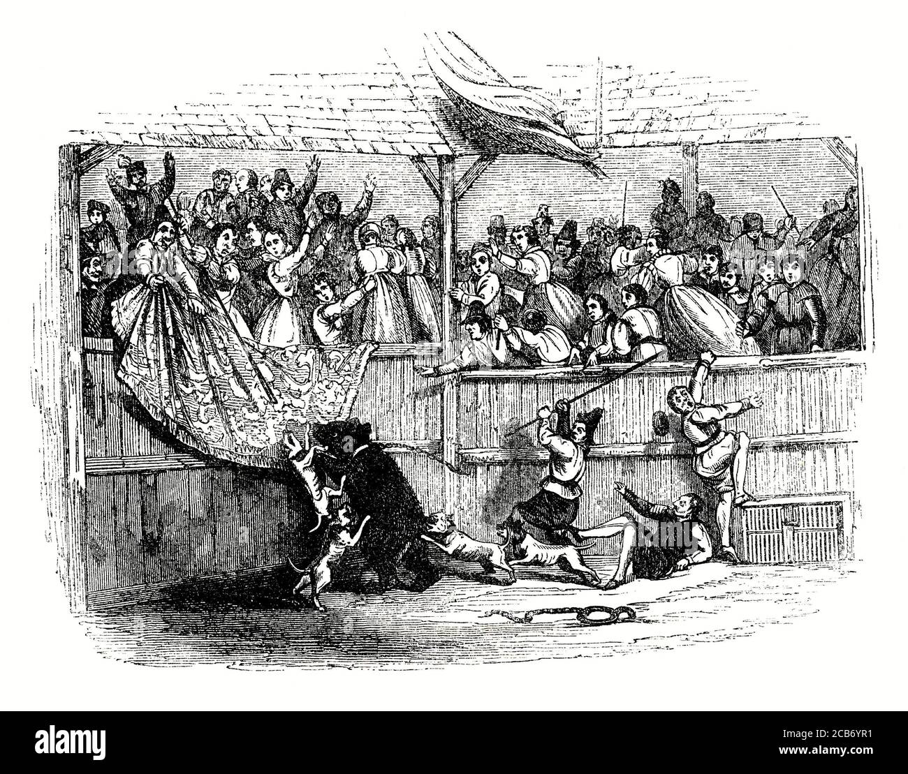 An old engraving of bear-baiting with dogs in medieval times. Bear-baiting is a blood sport involving the worrying or tormenting (baiting) of bears with dogs. Arenas for this activity were called bear-gardens, consisting of a circular high fenced area (the 'pit') and seating for spectators. A post would be set in the ground and the bear chained to it, either by the leg or neck. A number of trained fighting or baiting dogs, usually Old English Bulldogs, would then be set on it. Sometimes (as in this engraving) the bear was let loose, allowing it to chase after animals or people. Stock Photo
