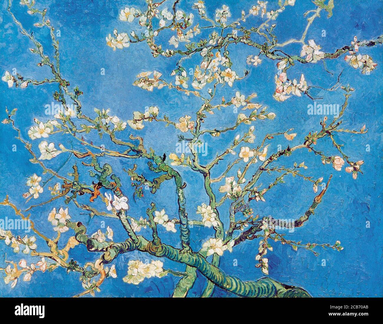 Vincent van Gogh (1853-1890). Dutch post-impressionist painter. Almond Blossom, 1890. Oil on canvas (73,3 cm x 92,4 cm). Van Gogh Museum. Amsterdam, Netherlands. Stock Photo