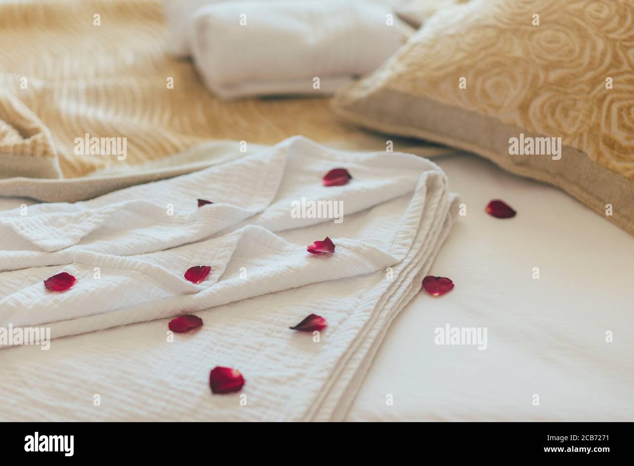 Luxury wellness and spa hotel room arranged for romantic weekend. Honeymoon suite bedroom decorated with rose petals on bed sheets. Resort holiday rel Stock Photo