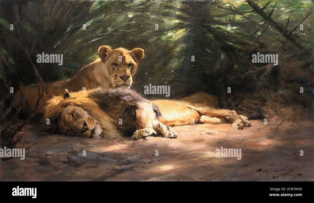 Lion den hi-res stock photography and images - Alamy