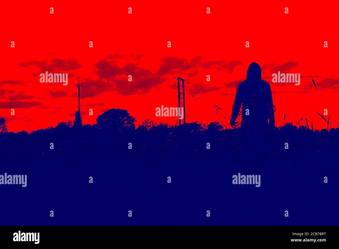 A blue, red duo tone edit. A hooded figure standing in a field, back to camera, looking at the sky. Stock Photo